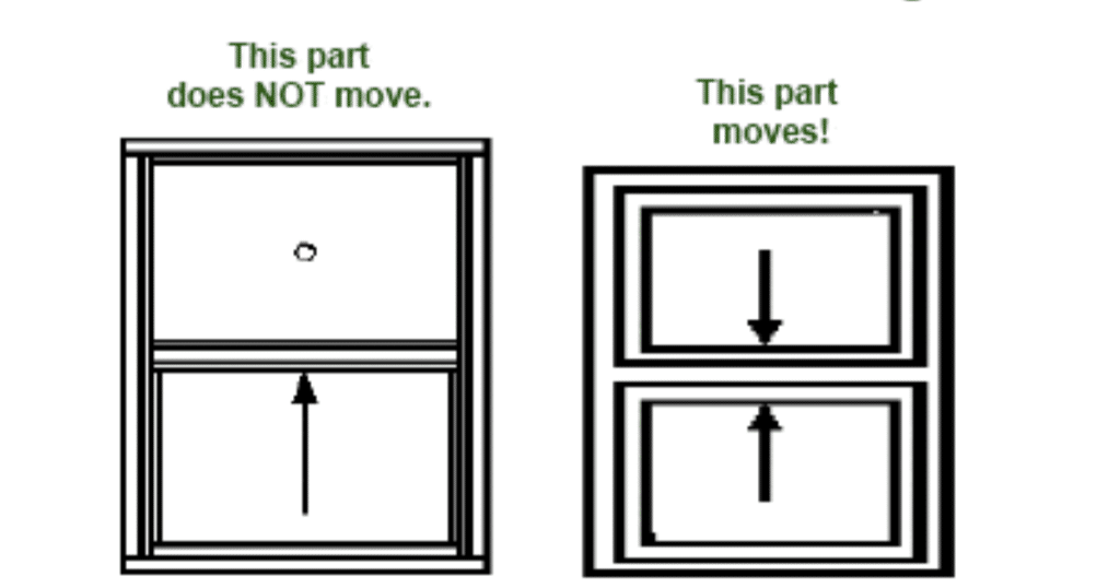 single hung vs double hung windows